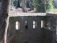 IMG_5002.JPG