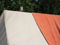 IMG_5709.JPG