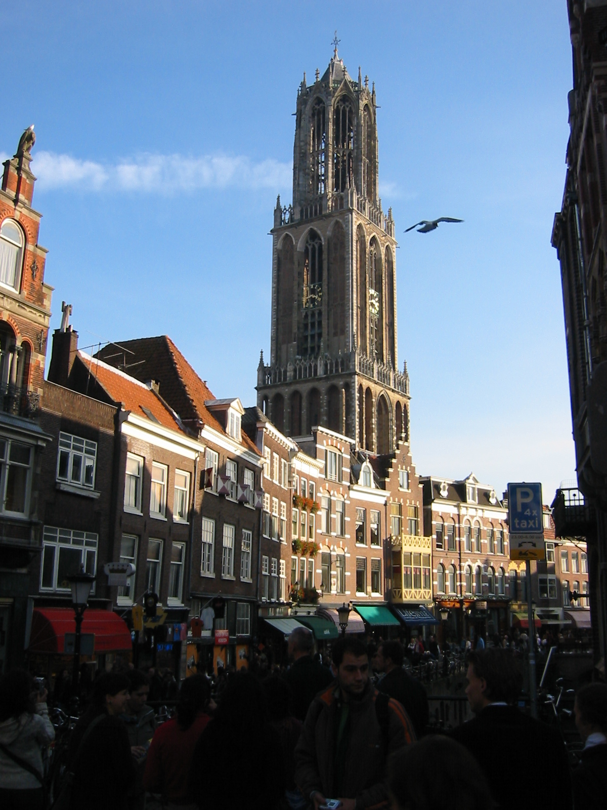 IMG_2110.jpg