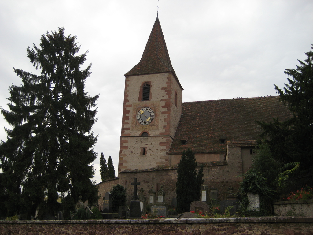 IMG_4130.jpg