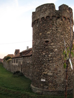 IMG_4112.jpg