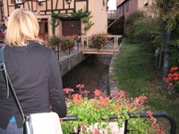 IMG_4113.jpg
