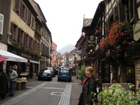 IMG_4132.jpg
