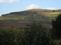 IMG_4147.jpg
