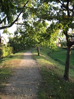 IMG_4171.jpg
