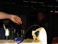 IMG_2233.jpg