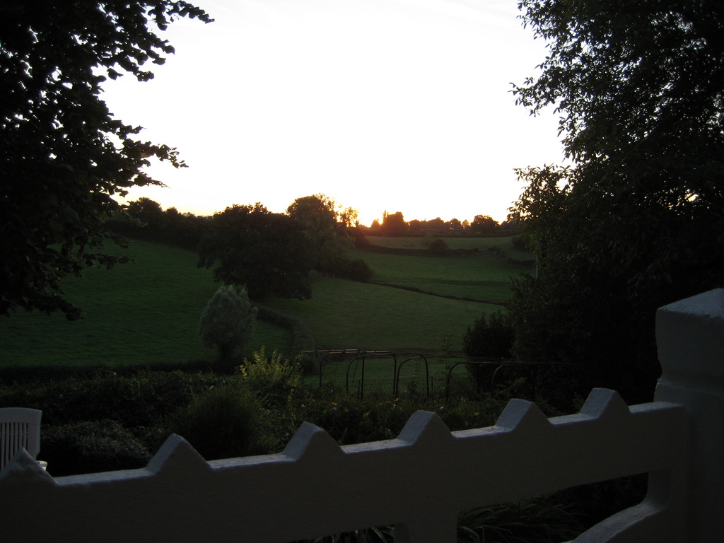 IMG_2769.jpg