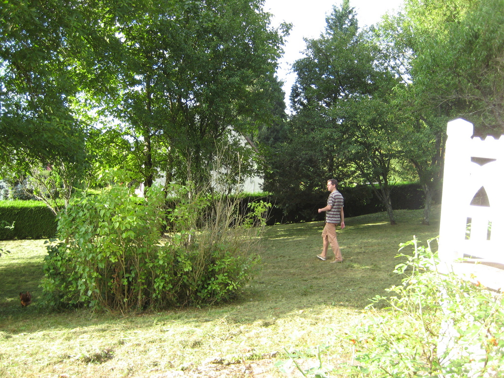 IMG_2781.jpg