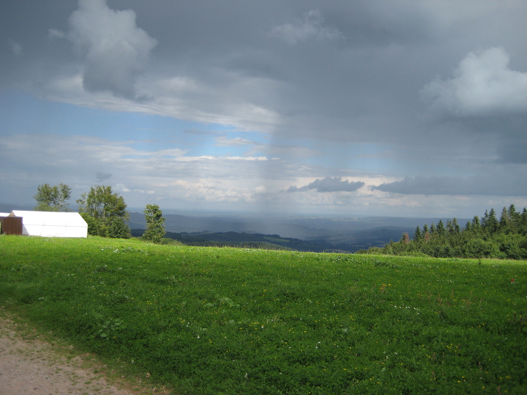 IMG_2833.jpg