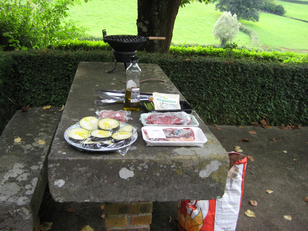 IMG_2851.jpg