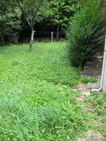 IMG_2745.jpg