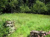 IMG_2747.jpg