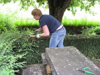 IMG_2750.jpg