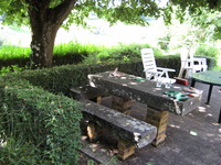 IMG_2755.jpg