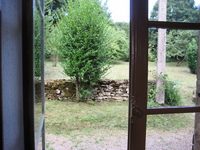 IMG_2795.jpg