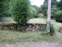 IMG_2796.jpg