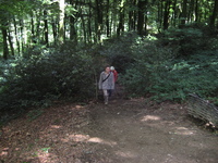 IMG_2817.jpg