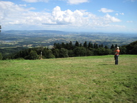 IMG_2822.jpg