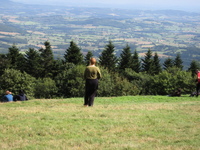 IMG_2826.jpg