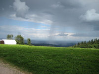 IMG_2833.jpg