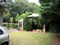 IMG_2852.jpg