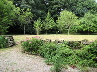 IMG_2856.jpg