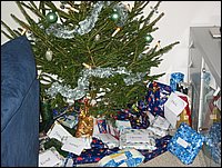 IMG_0462.jpg