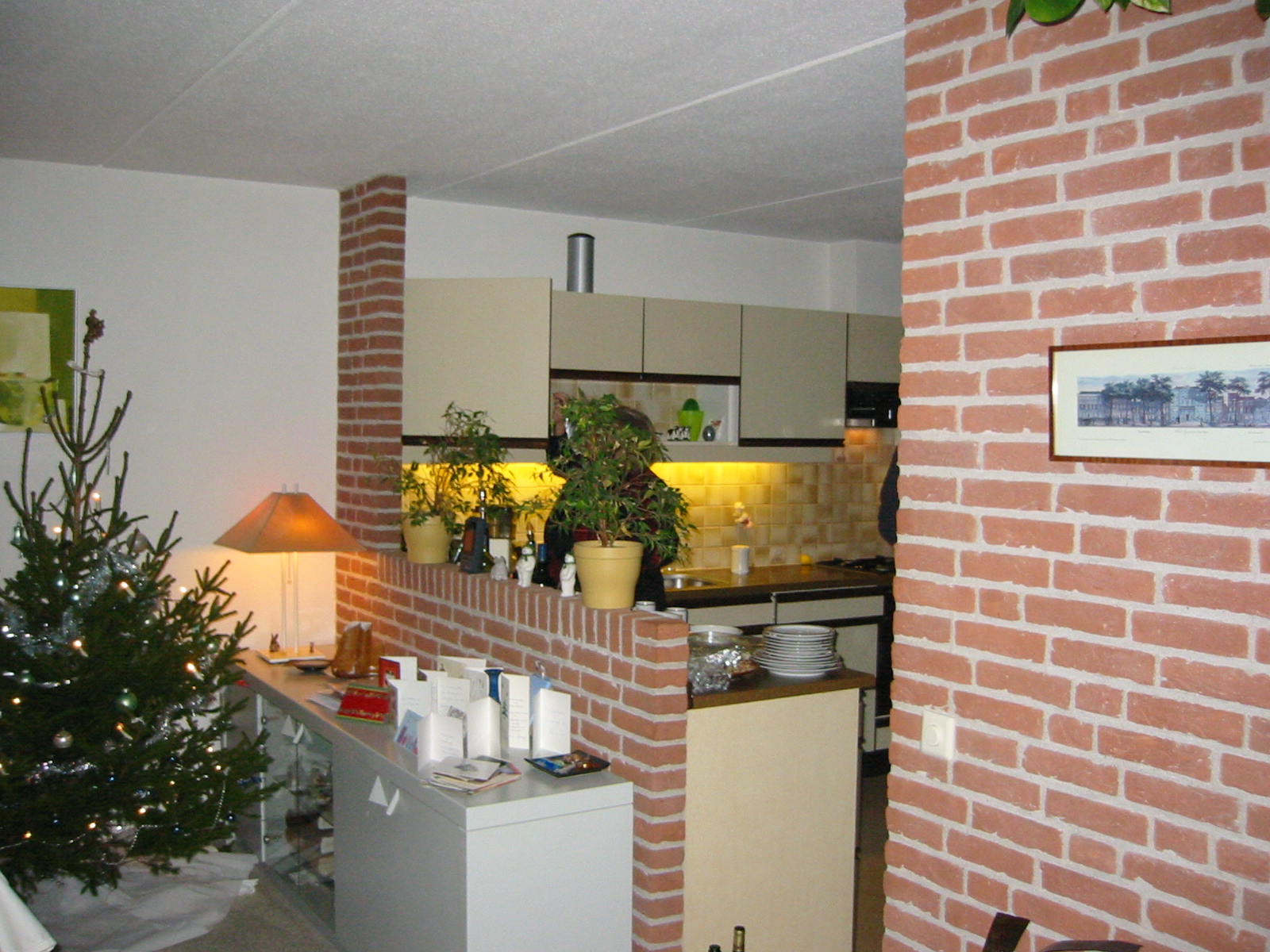 IMG_2156.jpg