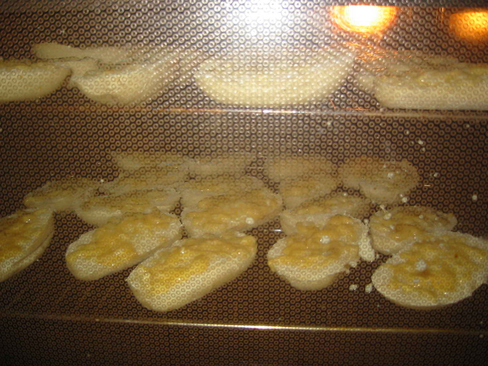 IMG_3599.jpg
