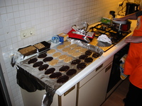 IMG_3593.jpg
