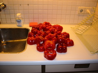 IMG_3594.jpg