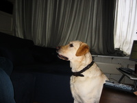 IMG_3649.jpg