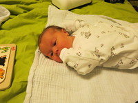 IMG_4297.JPG