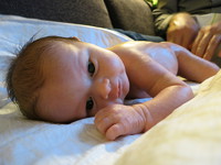 IMG_4405.JPG