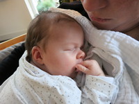 IMG_4581.JPG