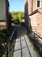 IMG_3011.JPG