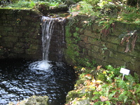 IMG_3013.JPG