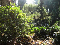 IMG_3018.JPG
