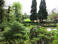 IMG_2161.jpg