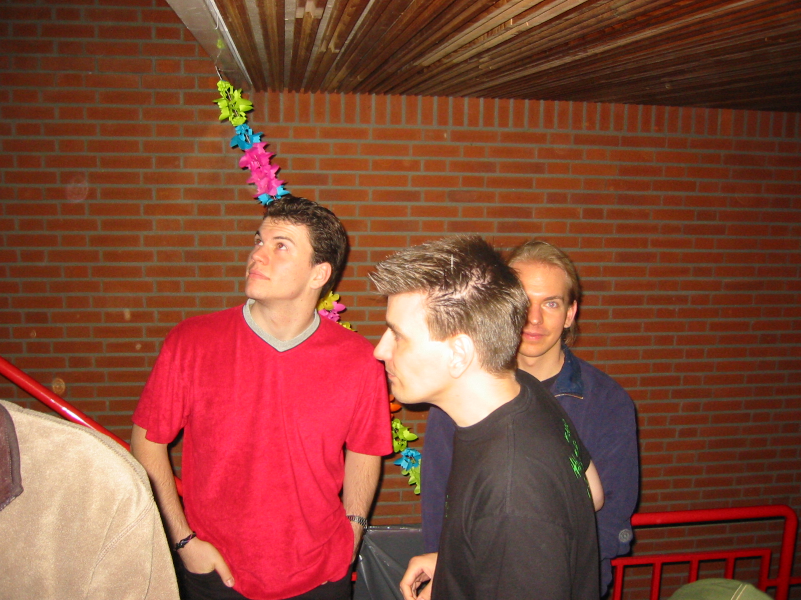 IMG_3447.jpg