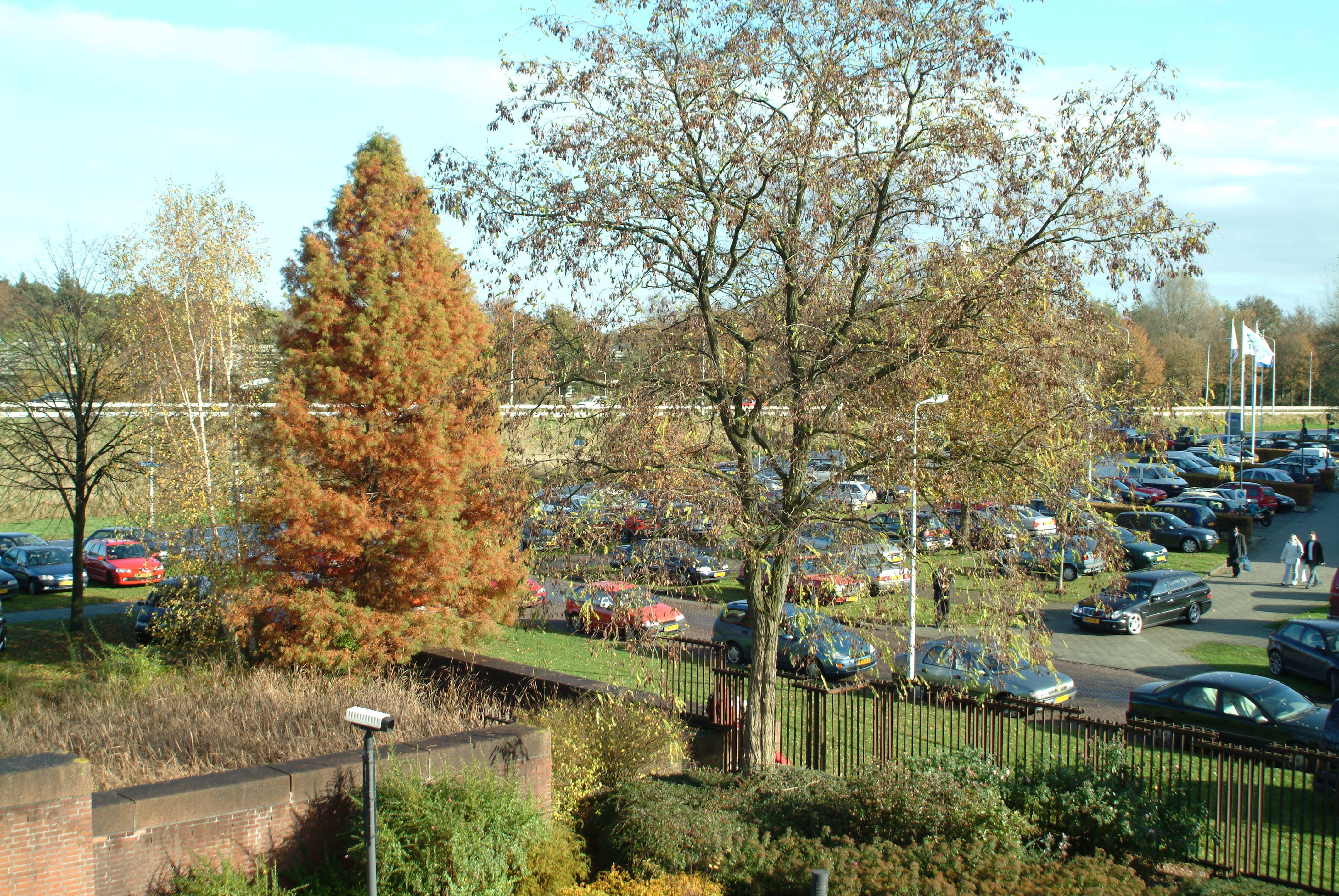 DSCF3665.JPG