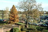 DSCF3665.JPG