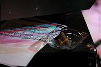 IMG_4236.jpg