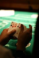 IMG_4284.jpg