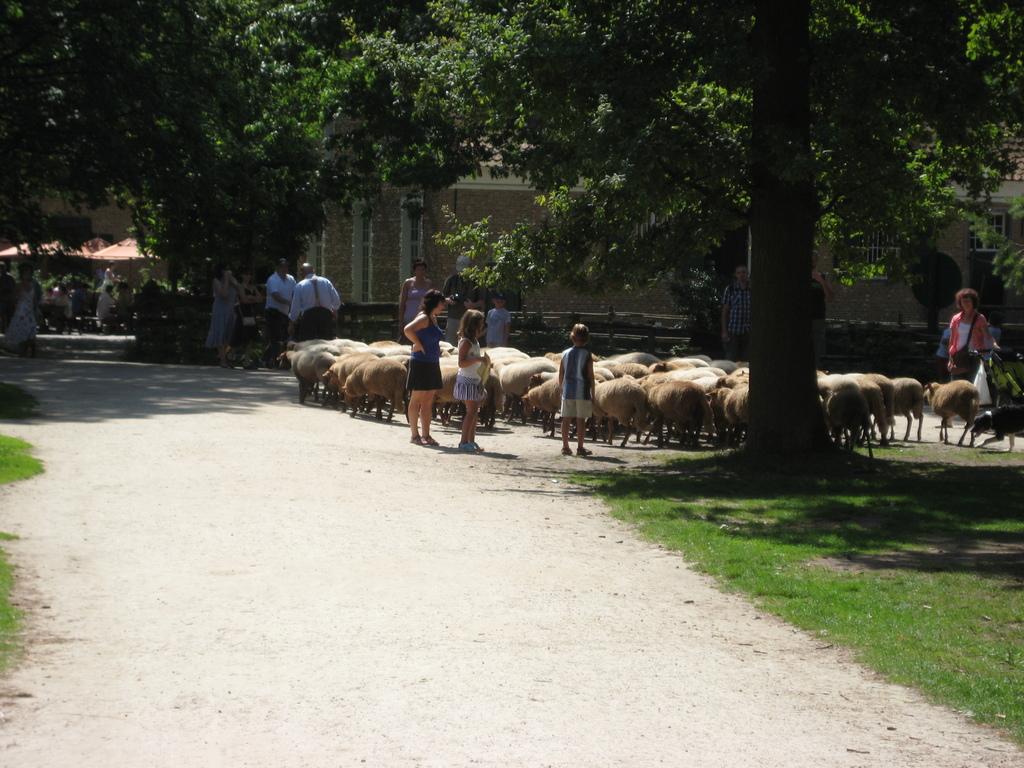 IMG_4005.jpg