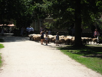 IMG_4005.jpg