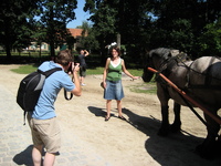 IMG_4006.jpg