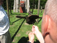 IMG_4022.jpg
