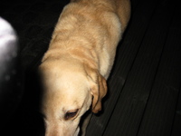IMG_4050.jpg