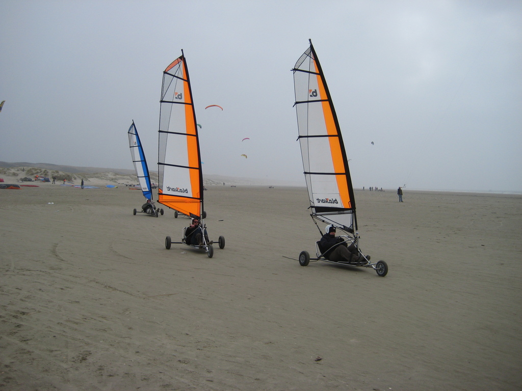 IMG_3368.JPG